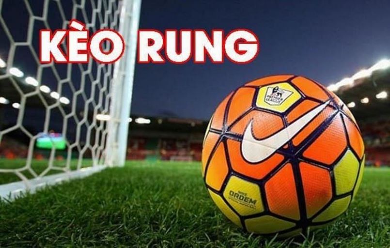 Để có thể tận dụng tối đa kèo rung, bạn cần nắm rõ quy trình, các bước cụ thể để đặt cược phù hợp