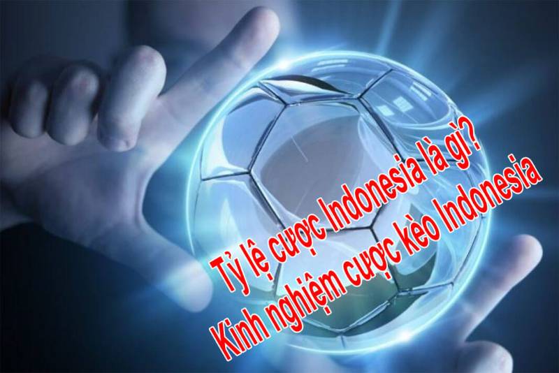 Tỷ lệ kèo Indo là một dạng tỷ lệ cược bóng đá phổ biến tại Indonesia