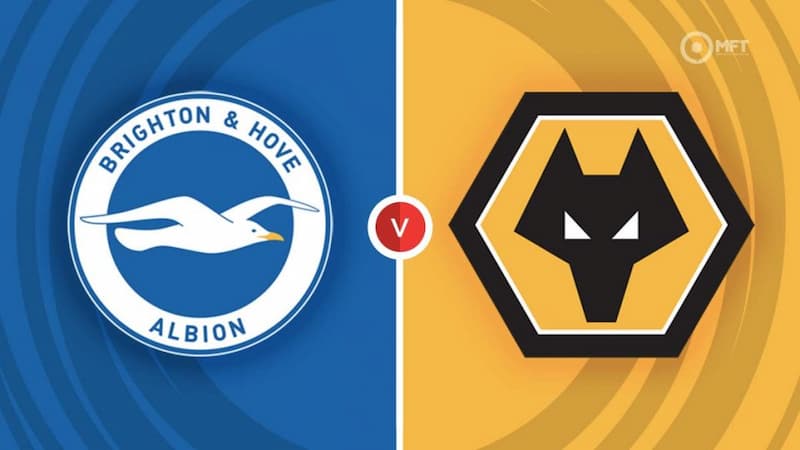 Brighton vs Wolves